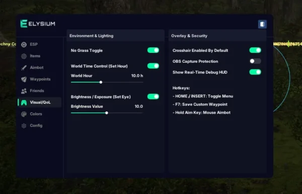 DayZ cheat visual settings with no grass and world time control